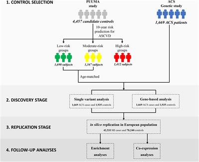 Exome-Wide Association Study Reveals Several Susceptibility Genes and Pathways Associated With Acute Coronary Syndromes in Han Chinese